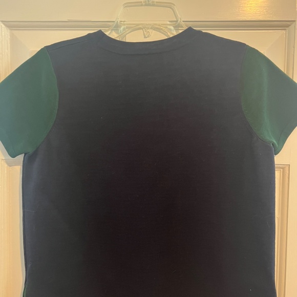 Demylee Navy and Green Tunic /Sweater Dress - Picture 2 of 3